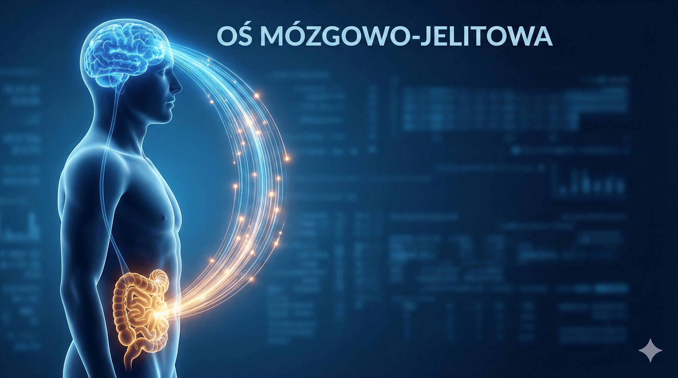 Oś jelito–mózg. Jak mikrobiota jelitowa wpływa na stres, pamięć i nastrój? - Rise Supplements